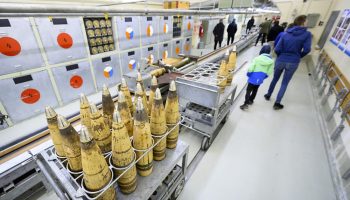 Des travaux ont été entrepris au fort de Dailly (VD) pour accueillir le public.